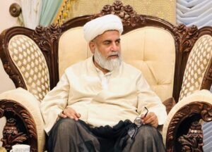سینیٹ میں قائد حزب اختلاف سینیٹر علامہ راجہ ناصر عباس جعفری